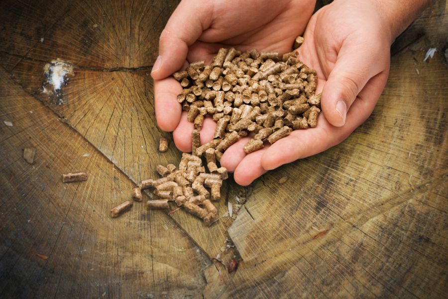 Hände zeigen Holzpellets für die Verbrennung in Pelletheizungen